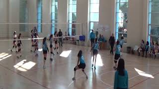 VOLEYBOL MİLLETLER LİGİ İPTAL EDİLDİ