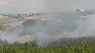 KASTAMONU’DA ORMAN YANGINI