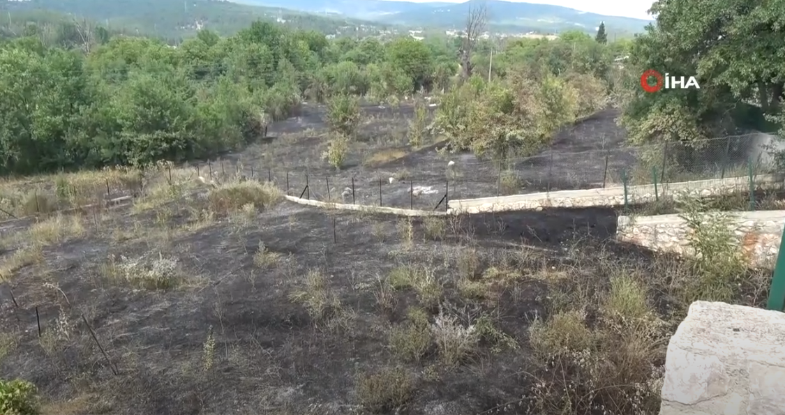 ANIZ YANGINI EVLERE SIÇRAMADAN SÖNDÜRÜLDÜ