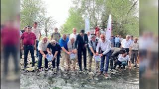 KASTAMONU'NUN DEVREKANİ ÇAYI'NA 5 BİN ABANT ALABALIĞI SALINDI